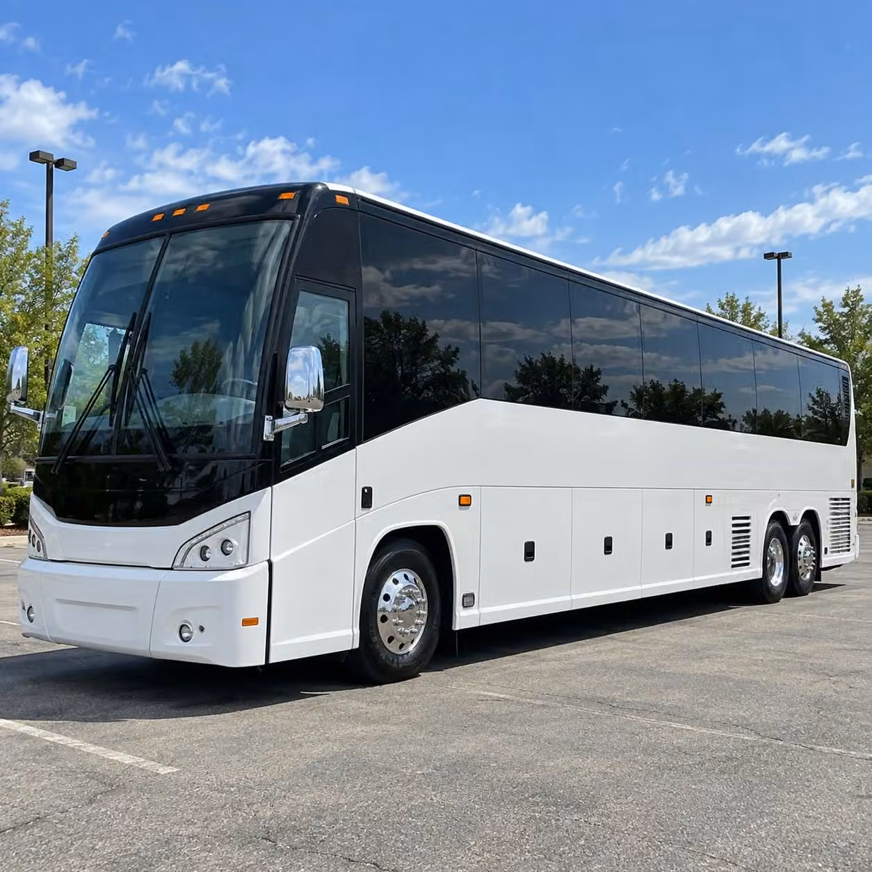 corpus christi hooks game day transportation get your fan group to whataburger field without the parking headache