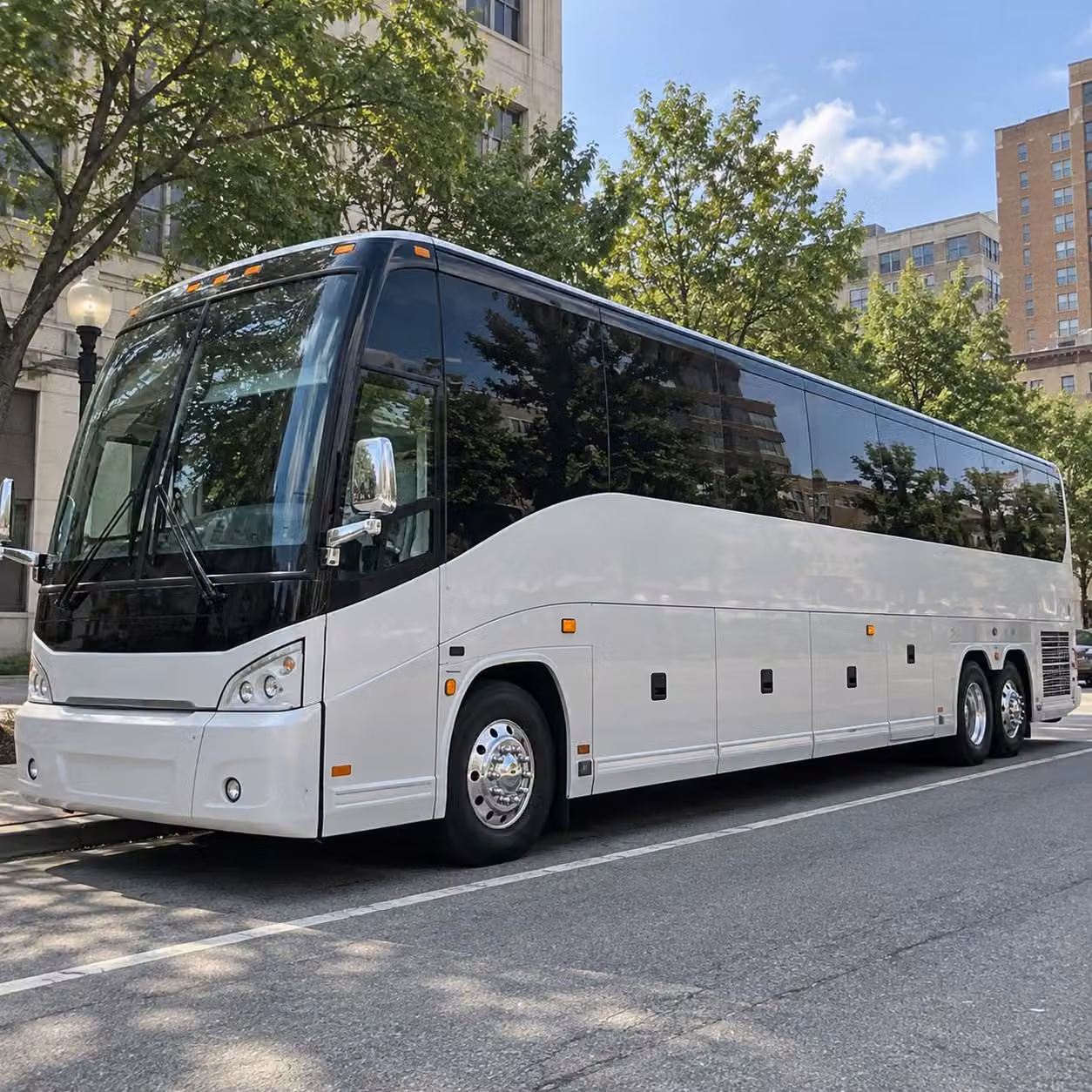 with busrentalcorpuschristi com you can organize team travel and tournament transportation across the coastal bend